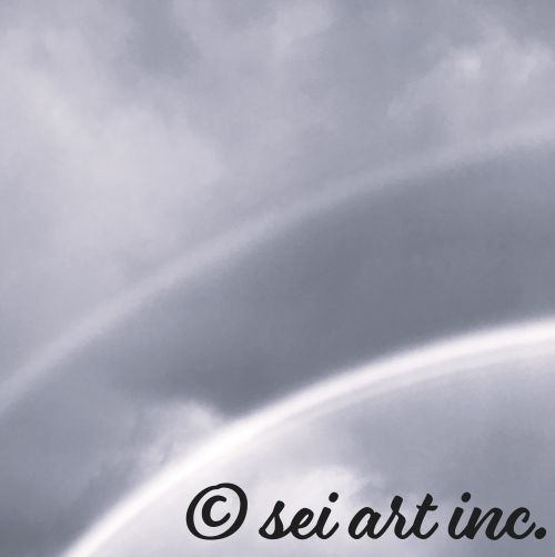 Double Rainbow Botanical B&W Photo Print – seiartinc