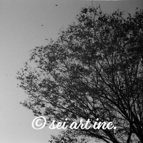 Minimalist mode style ceramic mug featuring a 'Tree and Wind' black and white photo print / モードストリート系デザインのセラミックマグカップ、「木と風」のモノクロ写真プリント