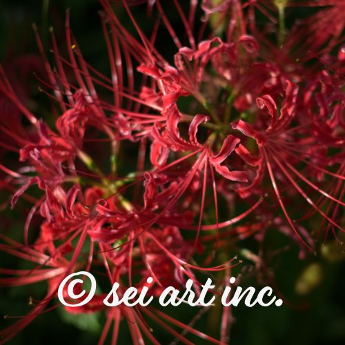 Red Spider Lily mug, pattern close up
