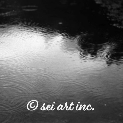 Ripples in Puddle B and W Art Detail