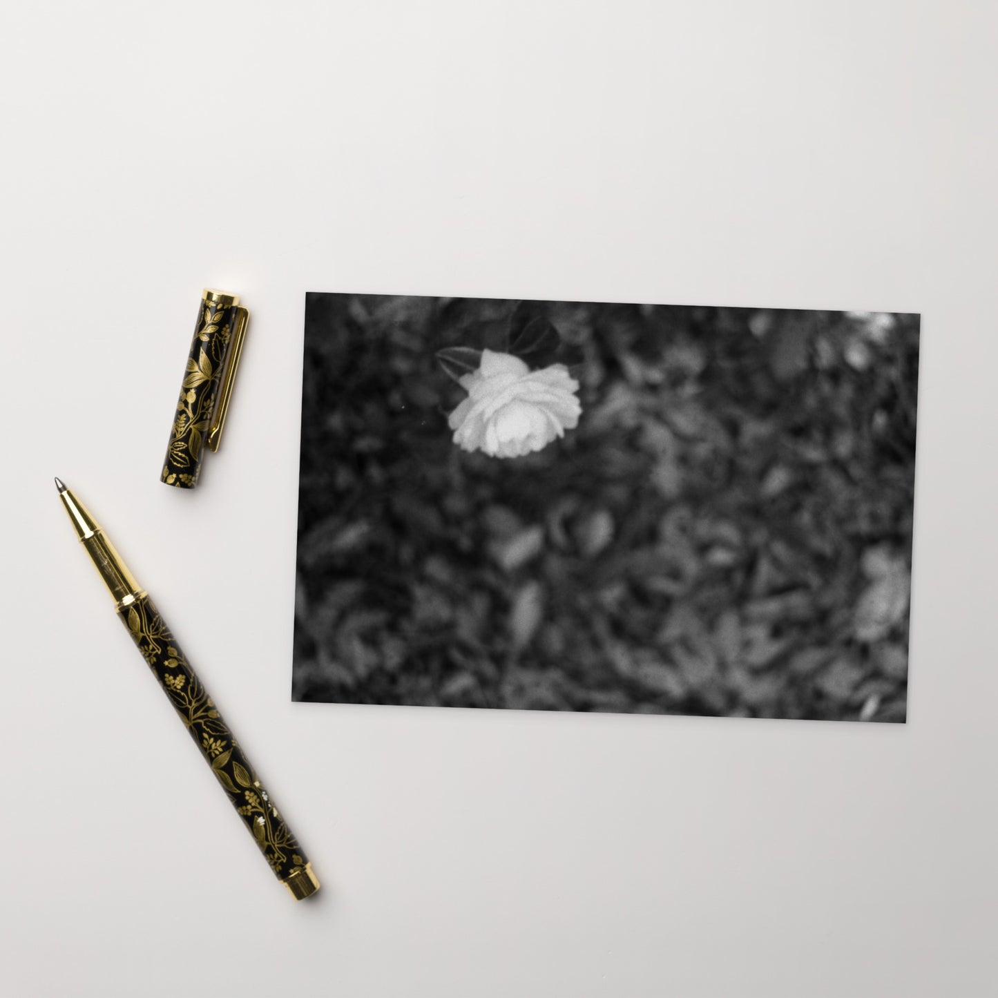 Minimalist mode style postcard featuring a 'Camellia Flower' black and white photo print / モードストリート系デザインのポストカード、「カメリア(椿)」のモノクロ写真プリント(アートカード)