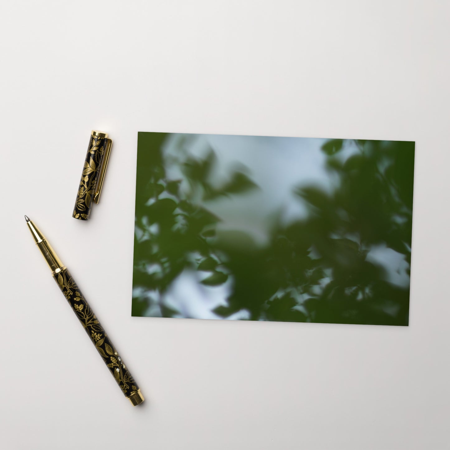 Minimalist streetwear style postcard featuring a 'Tree Branches' botanical photograph. Printed on thick, durable matte cardstock. / Tree Branches ポストカード:モノクロームの枝が際立つ、モードストリート系デザインのミニマリスト・ポストカード。厚手のマット紙を使用。