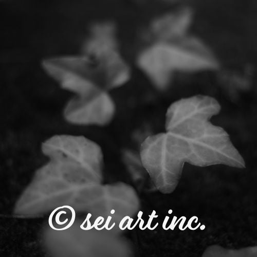 ivy (B&W)