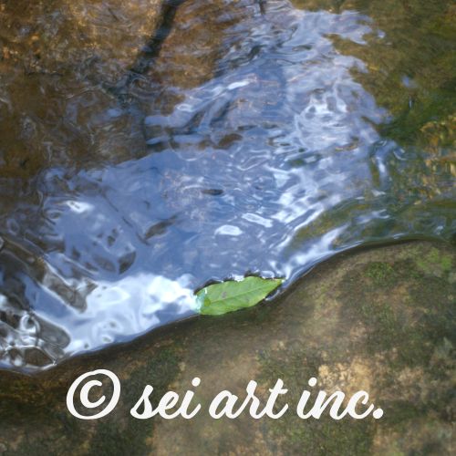 Drifted Leaf