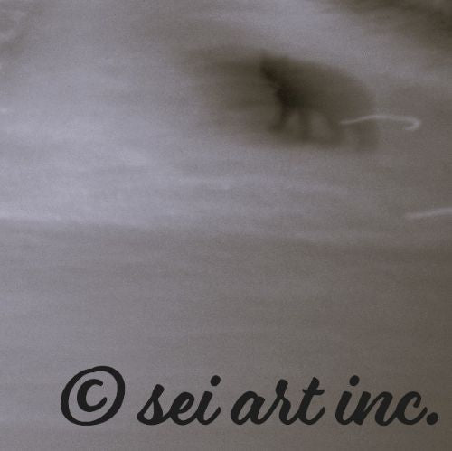 Cat (B&W)