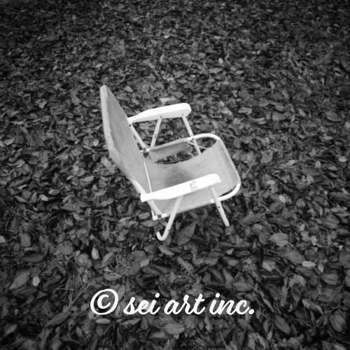 Fallen Leaves and Chair (B&W)