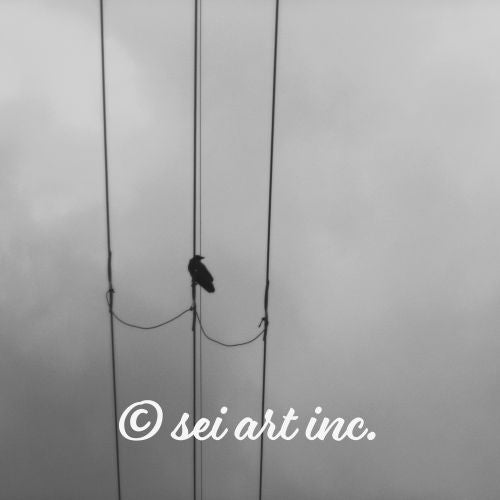 Crow and Power Lines (B&W)