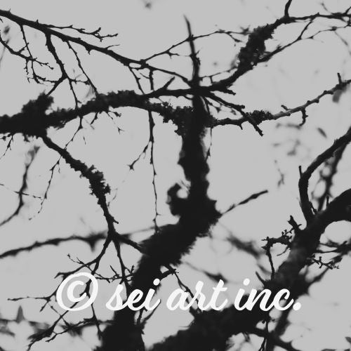 Bare Tree (B&W)