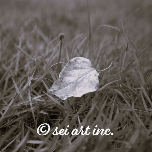 Yellow Fallen Leaf (B&W) – Minimalist Monochrome Autumn Art | seiartinc.