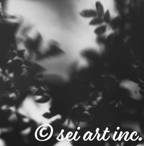 Tree Branches (B&W)
