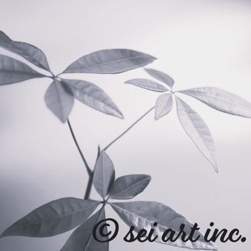 Botanical (B&W)