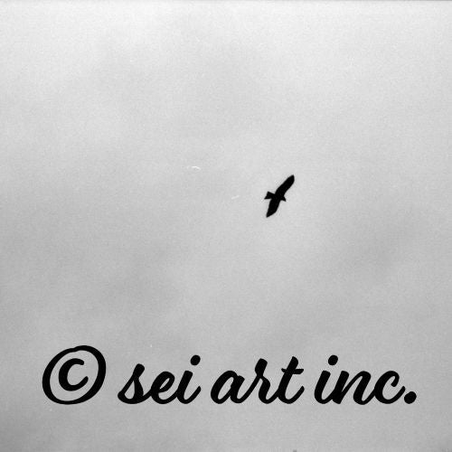 Bird and Sky (B&W)