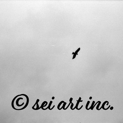 Close-up of the 'Bird and Sky (B&W)' photograph design, showcasing the intricate details of the birds and sky. A high-definition print with a clean, minimalist aesthetic. / Bird and Sky (B&W) 写真デザインのクローズアップ：空の質感と鳥のシルエットをモノクロームで捉えた高精細なプリント。ミニマルで洗練された美しさを演出するアートマグカップ。