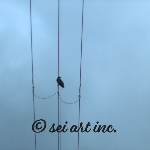 Crow and Power Lines Photo Print – seiartinc