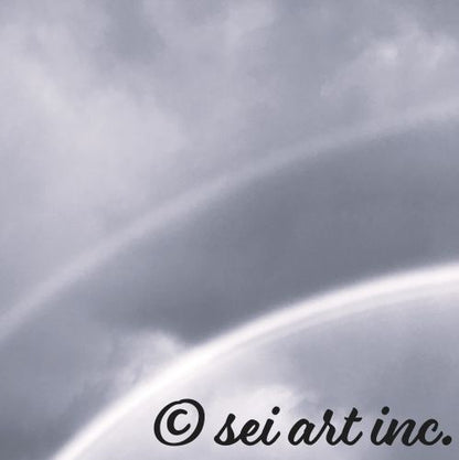 Double Rainbow Botanical B&W Photo Print – seiartinc