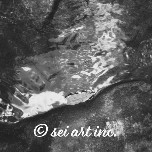 Drifted Leaf (B&W) 