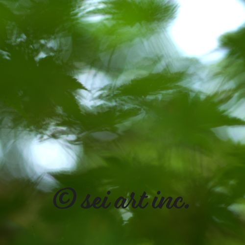 Maple Abstraction Botanical Photo Print – seiartinc