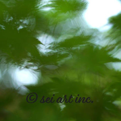 Maple Abstraction Botanical Photo Print – seiartinc