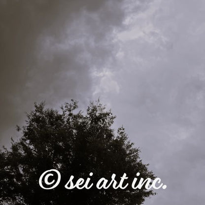 Minimalist mode style product photography capturing the details of the 'Clouds & Tree' black and white photo print / モードストリート系プロダクトフォト、「Clouds & Tree（雲と木）」のモノクロ写真プリントのディテール（製品イメージ）