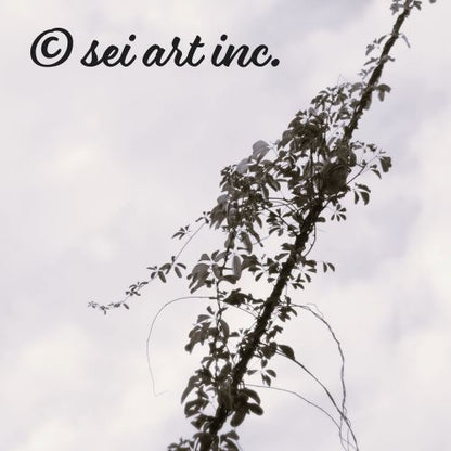 Minimalist mode style product photography capturing the details of the 'Vines Entangled on a Utility Pole' black and white photo print / モードストリート系プロダクトフォト、「Vines Entangled on a Utility Pole（電柱に絡まるツル）」のモノクロ写真プリントのディテール（製品イメージ）