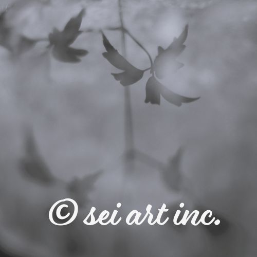 Minimalist mode style product photography capturing the details of the 'Water Surface & Leaves' black and white photo print / モードストリート系プロダクトフォト、「Water Surface & Leaves（水面と葉）」のモノクロ写真プリントのディテール（製品イメージ）