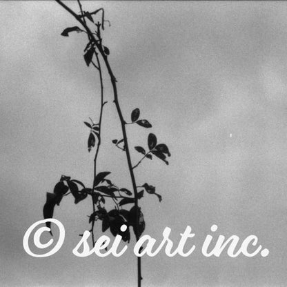 Minimalist streetwear style design featuring the 'Tree Branches (B&W)' photo art. / 「木の枝（モノクロ）」のフォトアートを配した、モードストリート系デザイン。
