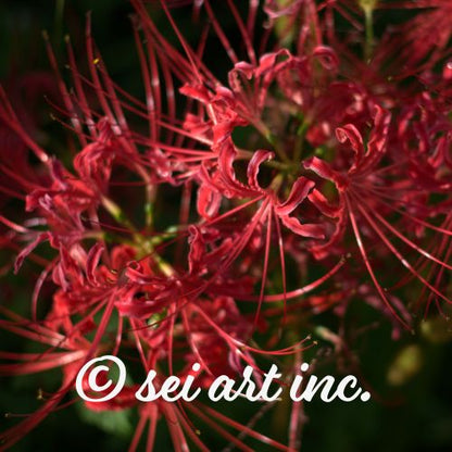Red Spider Lily mug, pattern close up