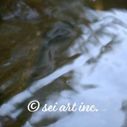 River Surface Botanical Photo Print – seiartinc
