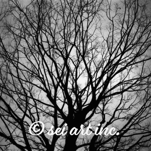 Tree B and W Art Detail
