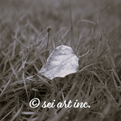 Yellow Fallen Leaf Botanical B&W Photo Print – seiartinc