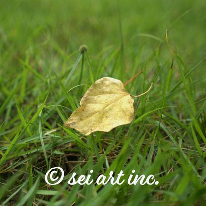 Yellow Fallen Leaf Botanical Photo Print – seiartinc