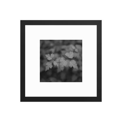 【Black Frame】
Minimalist mode style framed matte paper poster with a 'plants' black and white botanical art print and a black frame / モードストリート系フレーム付きポスター（ブラックフレーム）、「植物」のモノクロアートプリント（インテリアポスター）