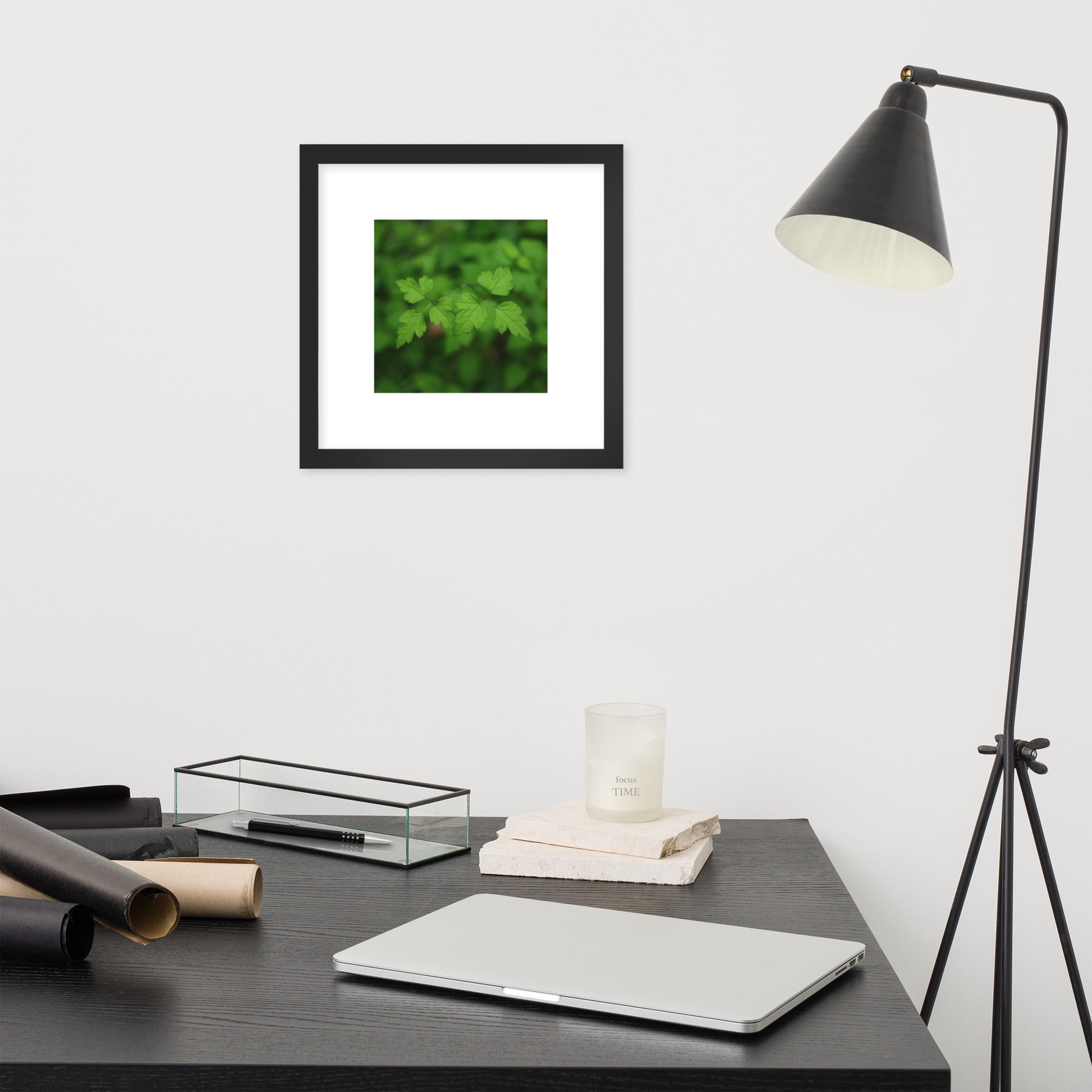 【Black Frame】
Minimalist mode style framed matte paper poster with a 'plants' botanical art print and a black frame / モードストリート系フレーム付きポスター（ブラックフレーム）、「植物」のアートプリント（壁掛けアート）
