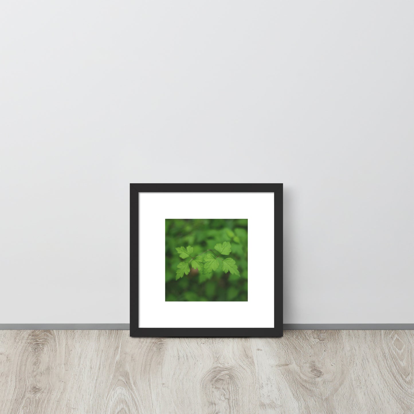 【Black Frame】
Minimalist mode style framed matte paper poster with a 'plants' botanical art print and a black frame / モードストリート系フレーム付きポスター（ブラックフレーム）、「植物」のアートプリント（壁掛けアート）