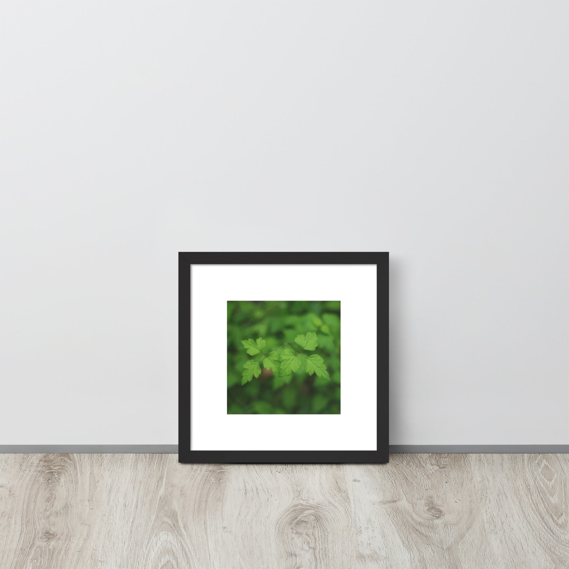 【Black Frame】
Minimalist mode style framed matte paper poster with a 'plants' botanical art print and a black frame / モードストリート系フレーム付きポスター（ブラックフレーム）、「植物」のアートプリント（壁掛けアート）