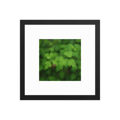【Black Frame】
Minimalist mode style framed matte paper poster with a 'plants' botanical art print and a black frame / モードストリート系フレーム付きポスター（ブラックフレーム）、「植物」のアートプリント（壁掛けアート）
