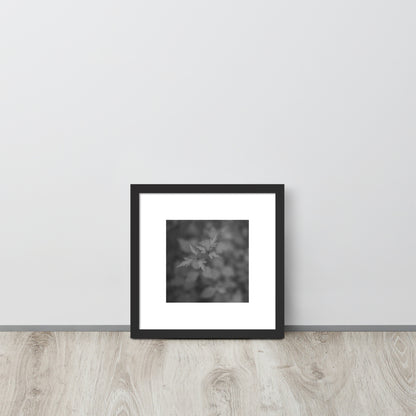 Botanical Plant B&W Art – Framed Matte Poster, Black Frame, Front View
