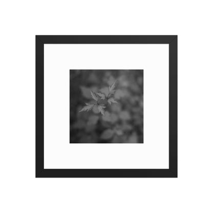 Botanical Plant B&W Art – Framed Matte Poster, Black Frame, Front View
