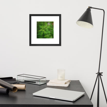 Botanical Plant Art – Framed Matte Poster, Black Frame, Front View
