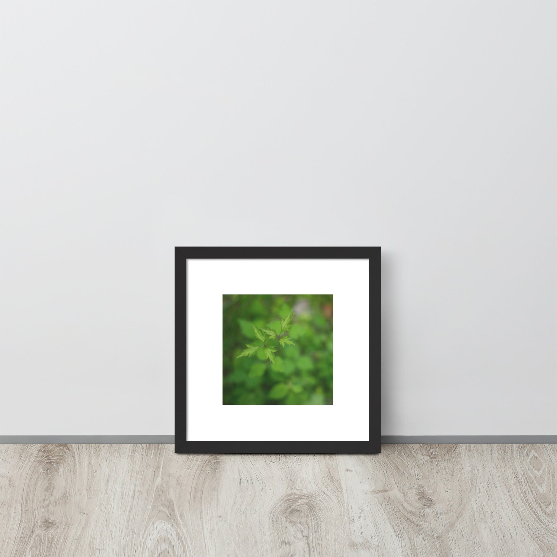 Botanical Plant Art – Framed Matte Poster, Black Frame, Front View
