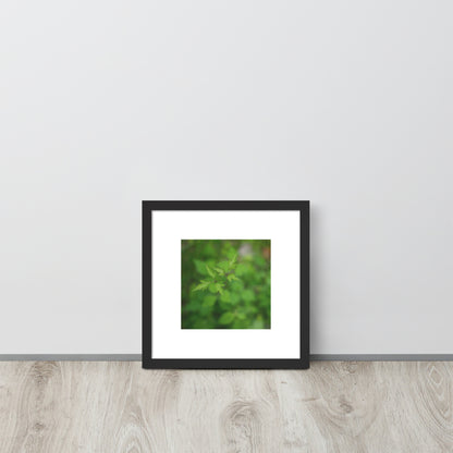 Botanical Plant Art – Framed Matte Poster, Black Frame, Front View

