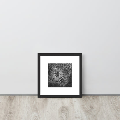 Red Spider Lily B&W Art – Framed Poster, Black Frame, Front View