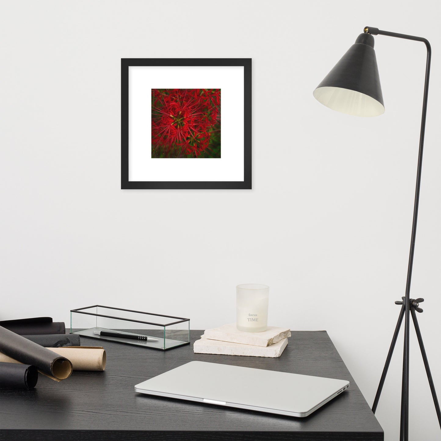 Red Spider Lily Botanical Art – Framed Poster 12x12, Black Frame, Front View