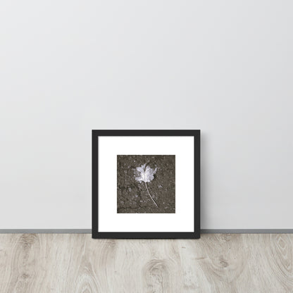 Maple Leaf Botanical B&W Art – Framed Matte Paper Poster, Black Frame, Front View
