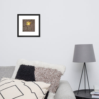 Maple Leaf Botanical Art – Framed Matte Paper Poster, Black Frame, Front View