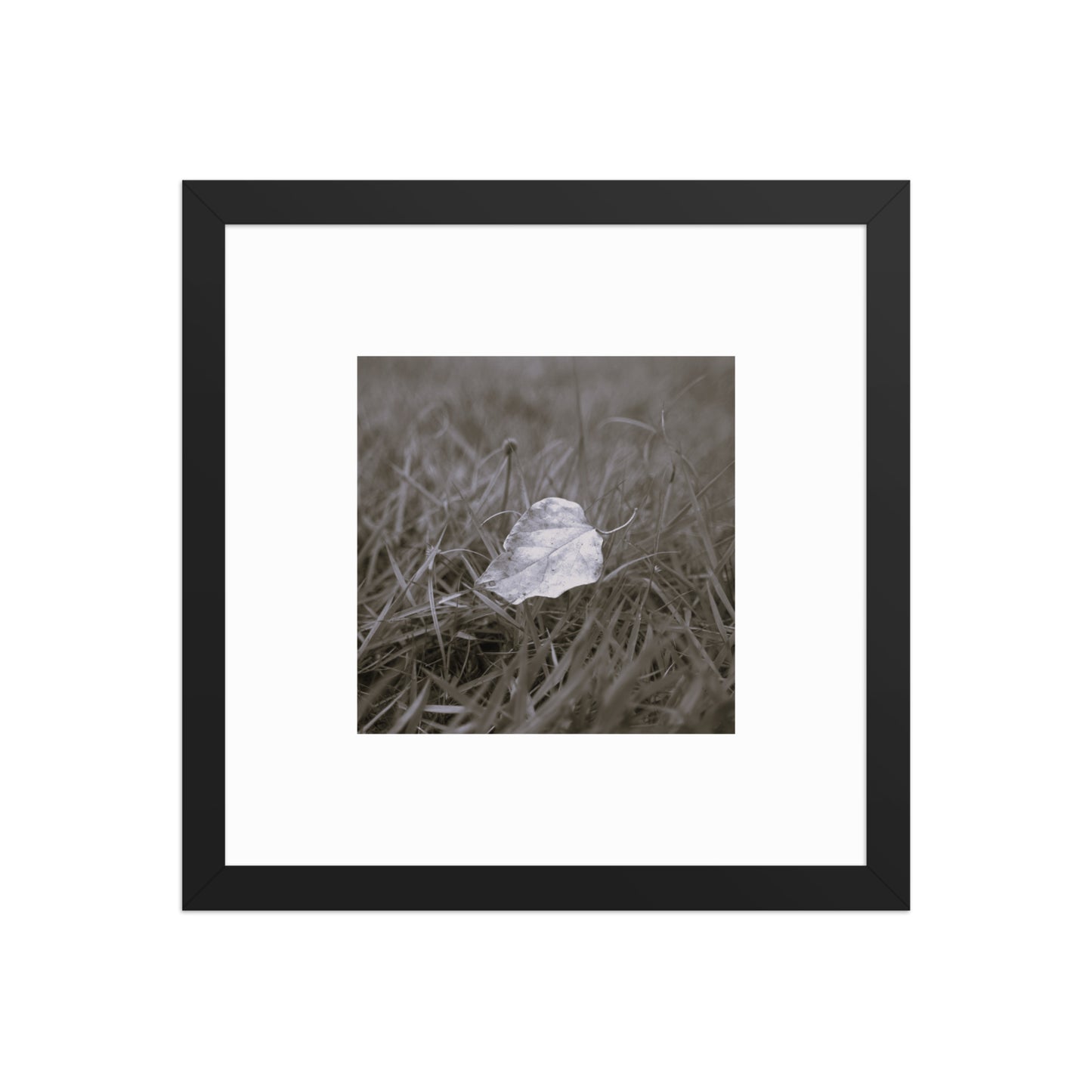 Yellow Fallen Leaf Botanical B&W Art – Framed Matte Paper Poster, Black Frame, Front View