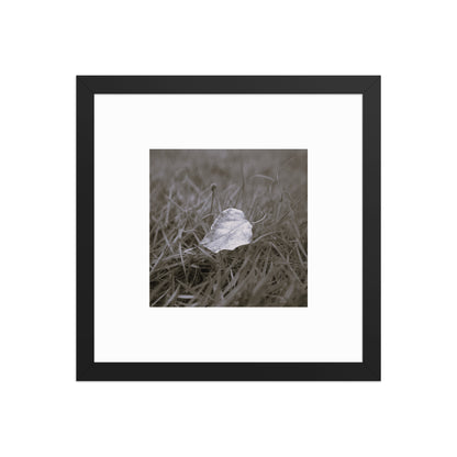 Yellow Fallen Leaf Botanical B&W Art – Framed Matte Paper Poster, Black Frame, Front View