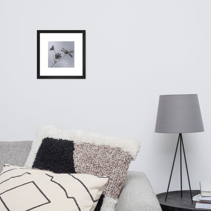 Three Cosmos Flowers Botanical B&W Art – Framed Matte Paper Poster, Black Frame, Front View