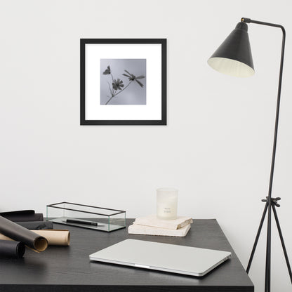 Three Cosmos Flowers Botanical B&W Art – Framed Matte Paper Poster, Black Frame, Front View
