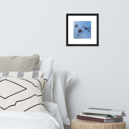 Three Cosmos Flowers Botanical Art – Framed Matte Paper Poster, Black Frame, Front View